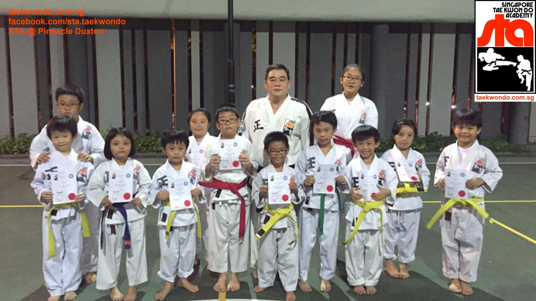 Pinnacle Duxton Cantonment Road City Taekwondo Master Albert Ong
